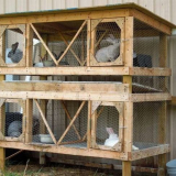 Rabbacker to udělá sami - kresby a velikosti